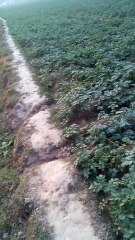 Traveling in Gazipur vlog 6