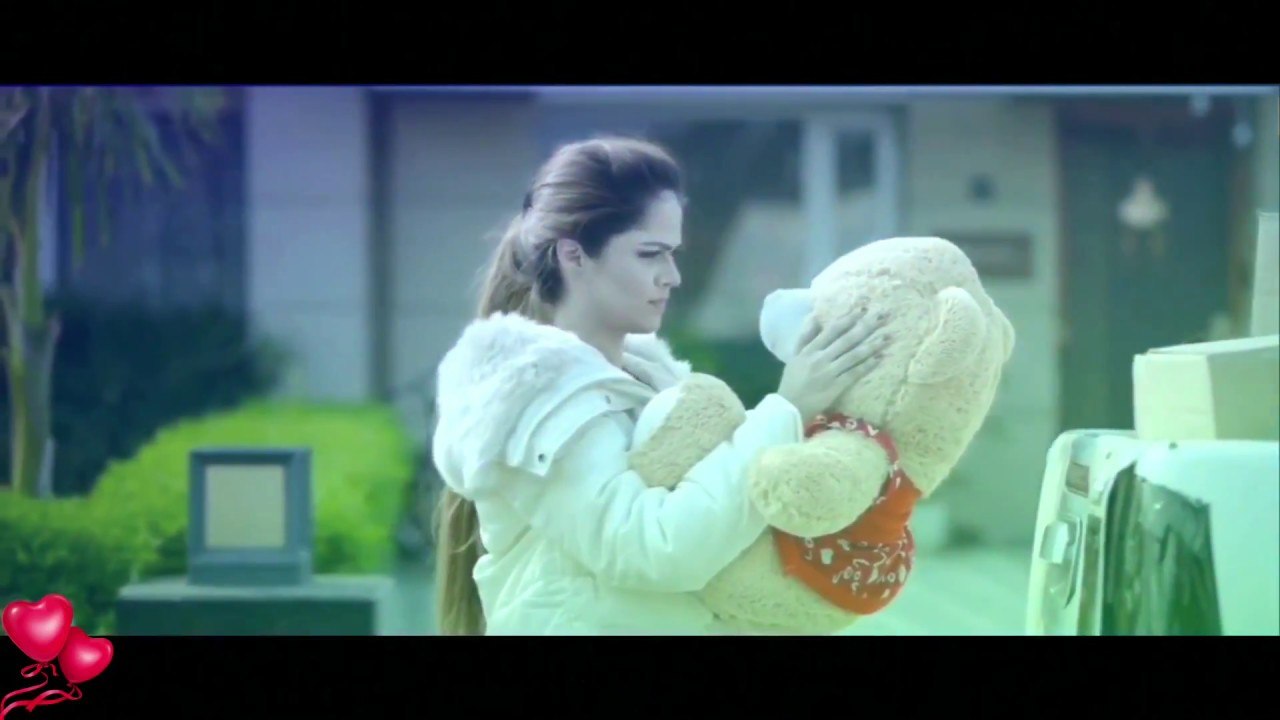 10 February Teddy Day 2018 Special Whatsapp Status Video |Valentine week 2018