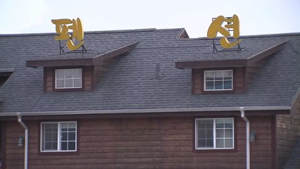 서울 등 10개 시도 숙박음식업 생산 5분기 연속 감소 / YTN