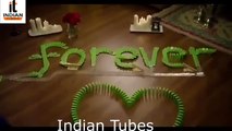 Best Propose Day 2018  New Whatsapp Status Video  Pyar Hua Humko Pyar Hua Songs By Indian Tubes
