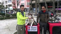 Hayvanlara şiddete karşı 14 bin kilometre pedal çevirecekler