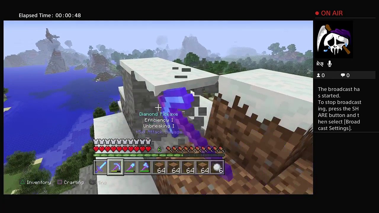 Minecraft (19)
