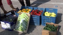 Antalyalı çiftçilerden hormon iddialarına meyve sebzeyi yıkamadan yiyerek tepki gösterdi