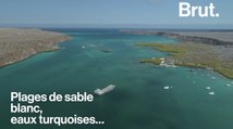 Les Îles Galápagos, un paradis menacé par le tourisme de masse