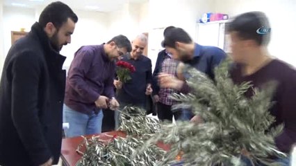 14 Şubatta Gül Demeti Yerine Zeytin Dalı Demeti
