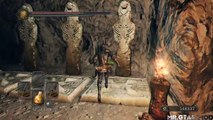 【Dark Souls 2 - 盾を捨てた男の実況】 DLC 深い底の王の冠 PART 5 聖壁の都サルヴァ ダークソウル2 二刀流で攻略
