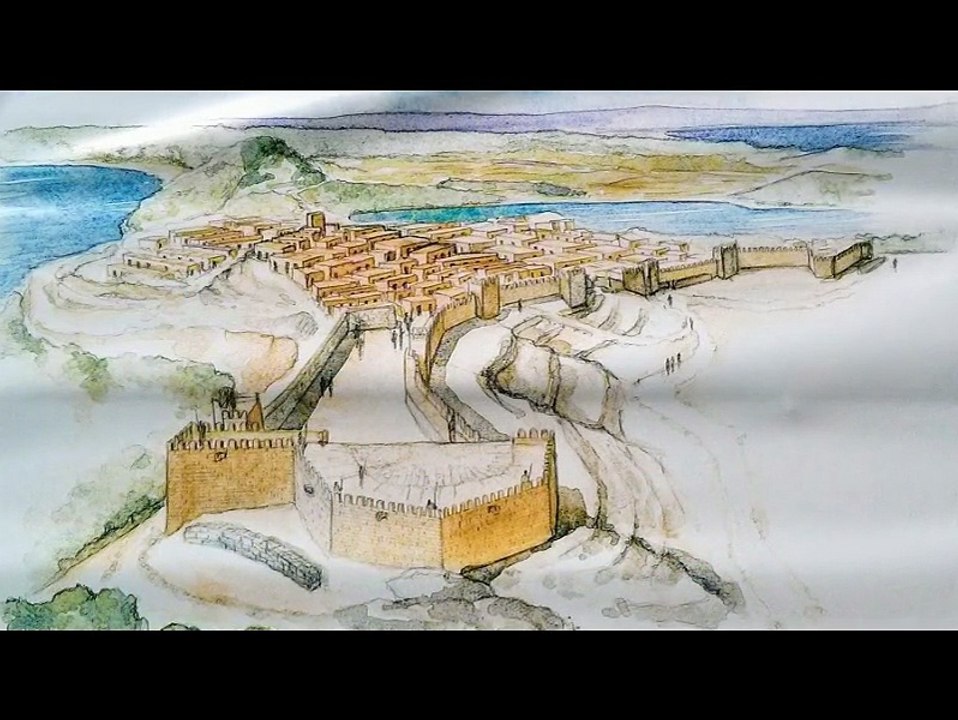 Réception municipal des Voeux du Maire Saint Mitre les Remparts - Denis BARROERO