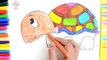 Draw Color Paint Cute Rainbow Turtle Coloring Pages and Learn to Color for Kids