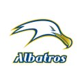 Midget AAA - Albatros