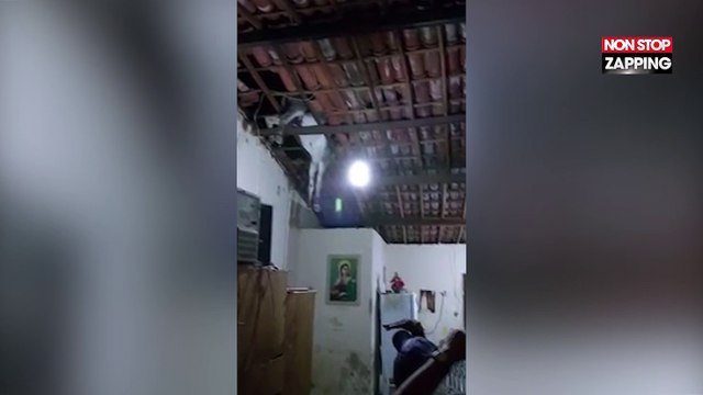 Brésil : Un âne détruit le toit d’une maison, les images insolites (Vidéo)