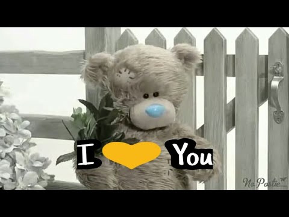 Teddy day status  New velentine day special status