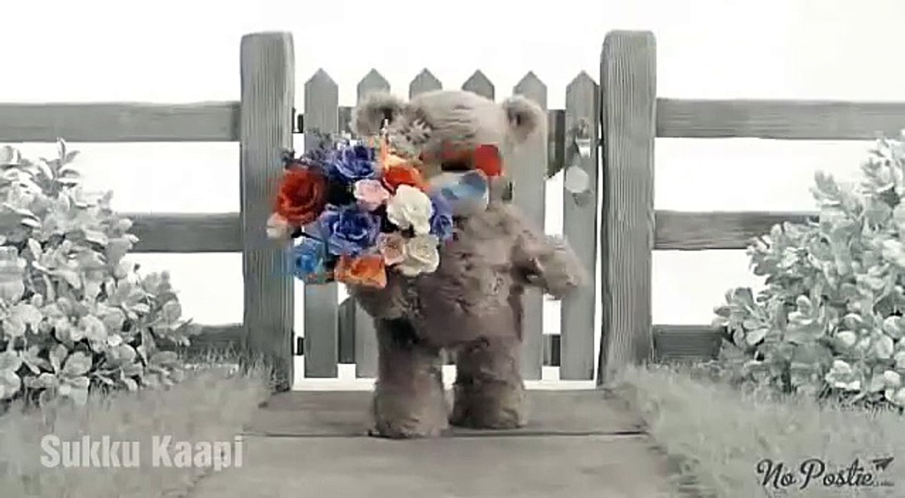 WhatsApp status Teddy love - Teddy Day Special Whatsapp Status Video |Valentine week