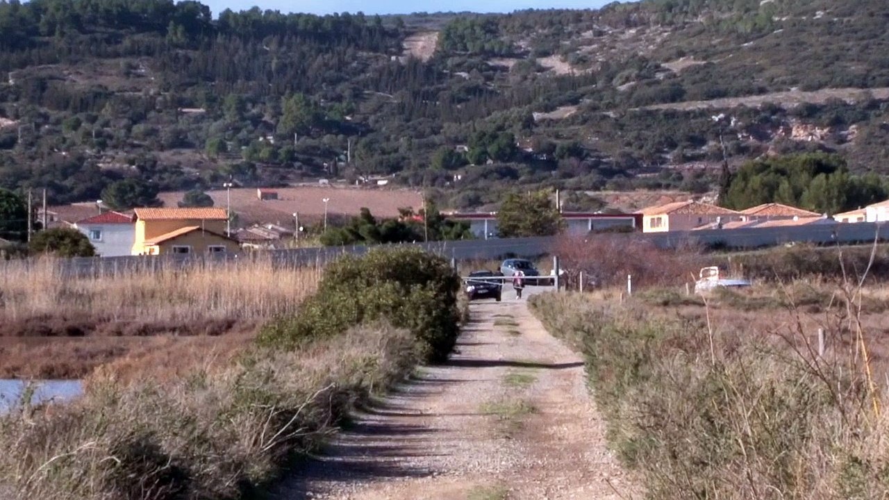 LES SALINS DE FRONTIGAN 34