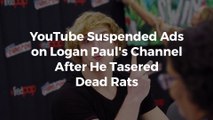 YouTube Suspended Ads on Logan Paul's Channel After He Tasered Dead Rats