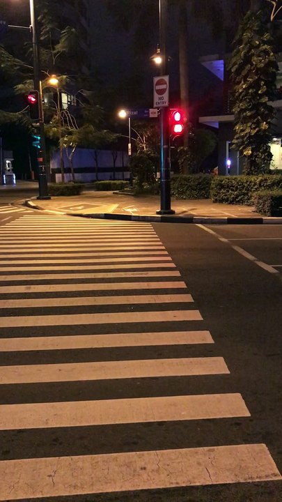 Pedestrian and Cat Crossing