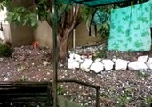 Large Hailstones Batter Areas of Central Argentina