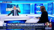 Nicolas Hulot: Pascale Mitterrand est la plaignante (1/2)