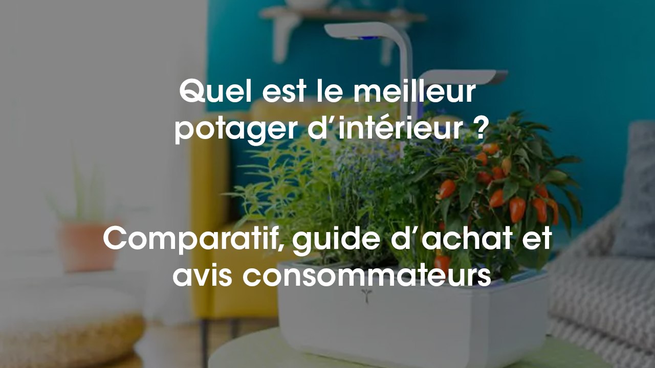 Quel est le meilleur potager d'intérieur en 2018 ?
