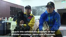 Séisme à Taïwan: un labrador héro des recherches de survivants