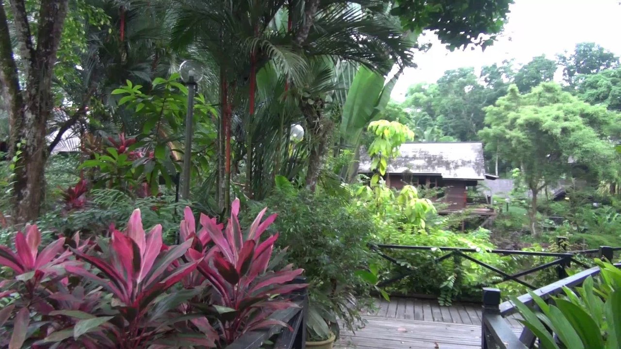 Sepilok Nature Resort, Sabah, Borneo, Malaysia