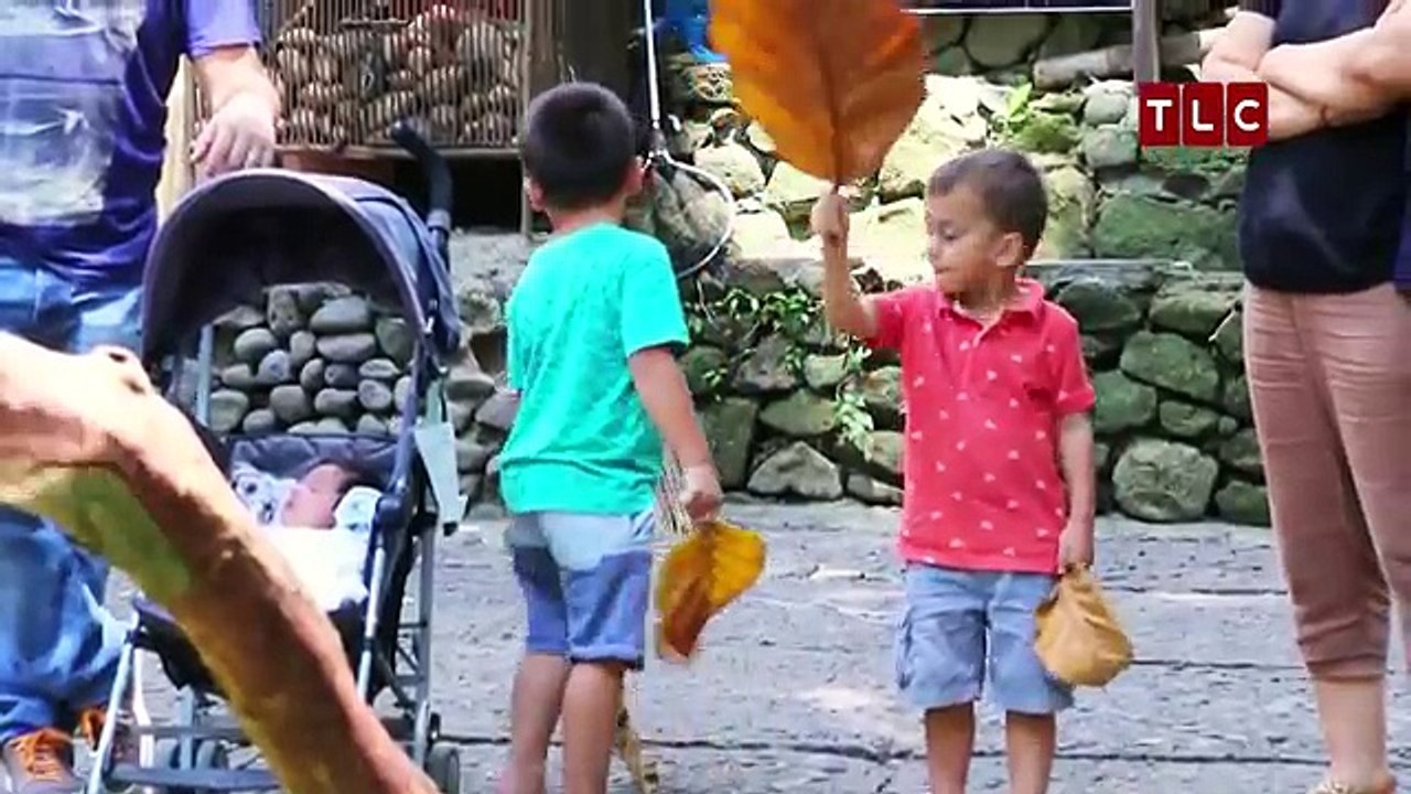 EP6 Maes Vlog: Sacred Monkey Forest Sanctuary | WONDERNESIA