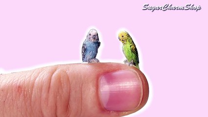 How To Miniature Budgie Tutorial // DIY Doll Pet Bird