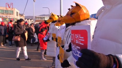 Winter Olympics: Despite Protest, Dog Meat Still On the Menu in South Korea