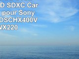 DigiChip 64 GO 64GB CLASS 10 SD SDXC Carte Mémoire pour Sony Cybershot DSCHX400V