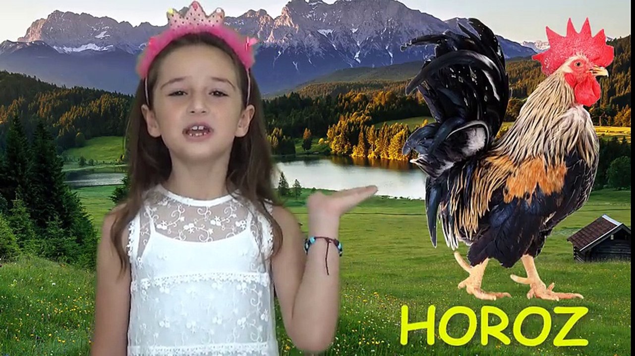 Evcil Hayvanları Tanıyalım Etkinliği Çiftlik Hayvanları | Gerçek Hayvan Sesleri Dinle