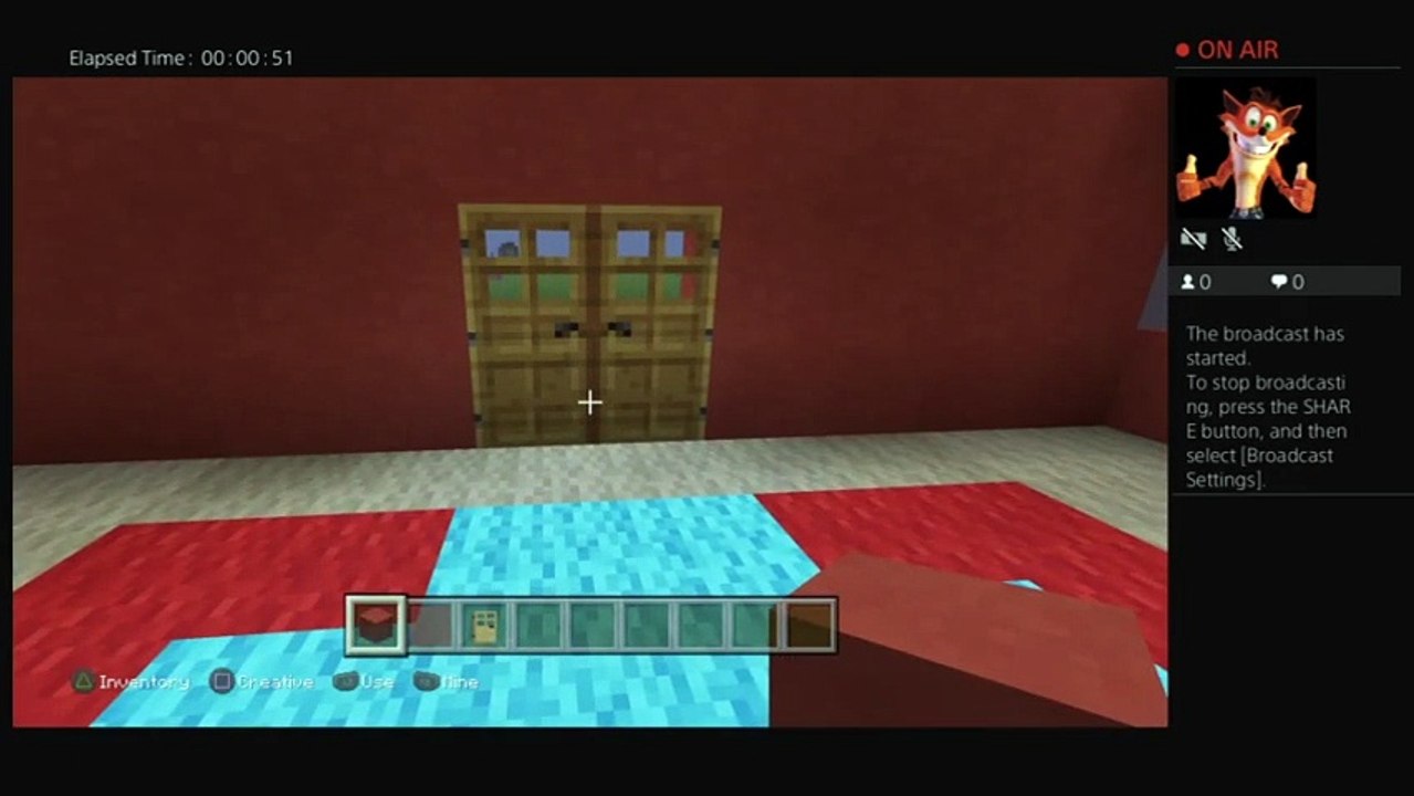 Minecraft (55)