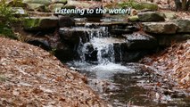2 Minutes and 2 seconds: Listening to the water (No talking) in 4K