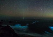 Timelapse Captures Stunning Bioluminescent Bloom in Big Sur