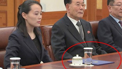[현장영상] 청와대 찾은 北 대표단...김여정 앞에만 놓인 '의문의 서류' / YTN