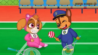 Paw Patrol Full Ep. | Pups Save Chase & Skye Photographic Funny Story |Animation Movies For Kid