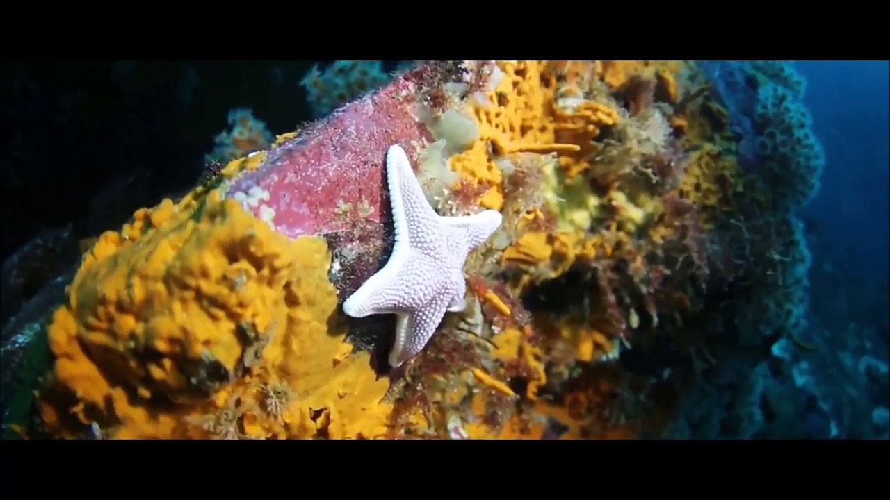 Diving