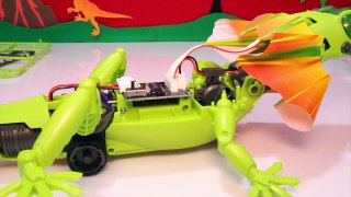 Kingii DRAGON ROBOT KIT Video | Frilled Lizard Interive Robot Toy