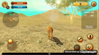 Wild Cheetah simulator 3D Android/IOS Game Play