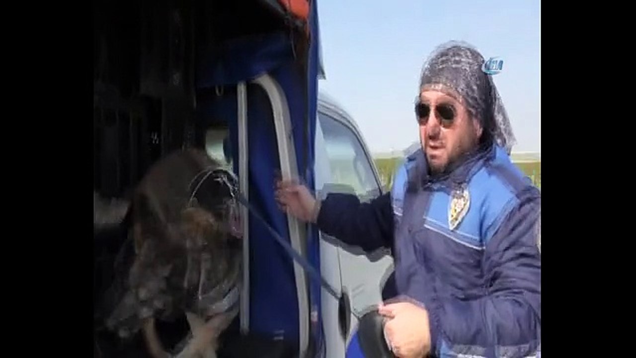 Afrin'deki terör örgütü YPG militanlarına gönderilen milyonlar değerinde cesaret hapı ele geçirildi