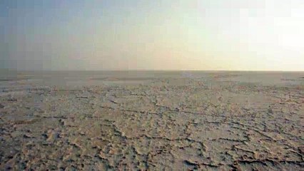 The Great Rann of Kutch near Dhordo Gujarat