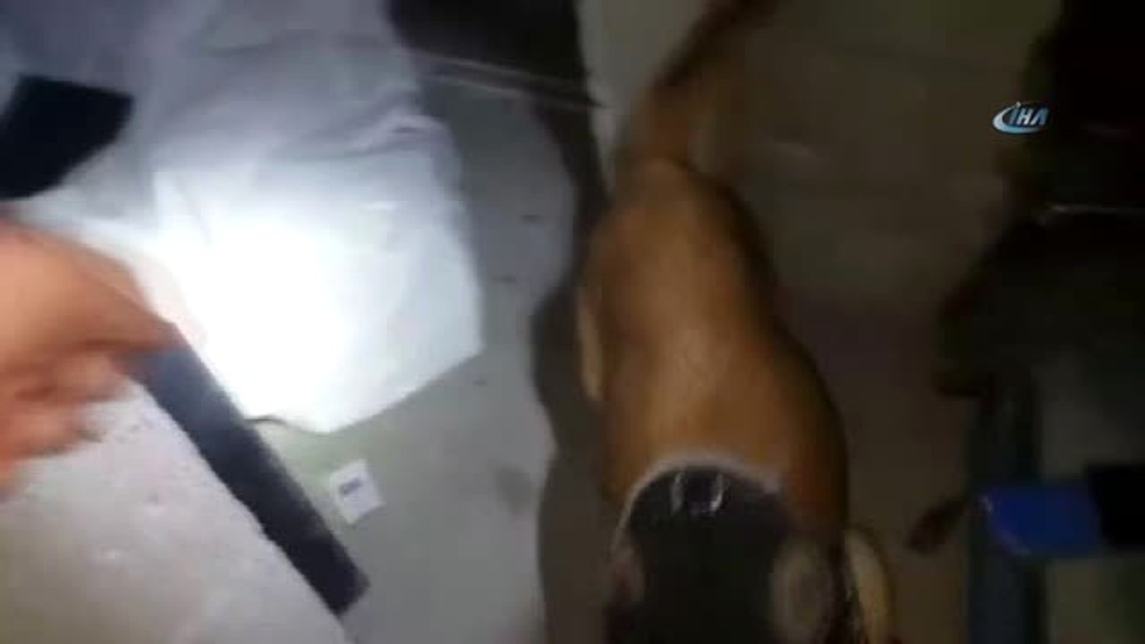 Uyuşturucu Tacirleri 'Şila'ya Takıldı