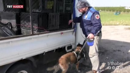 YPG/PKK'lı teröristlere gönderilen 250 bin cesaret hapı ele geçirildi