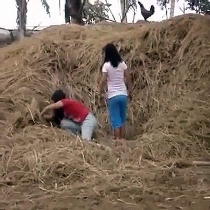 Ne jamais voler l'oeuf d'une poule sous ses yeux... Ahaha