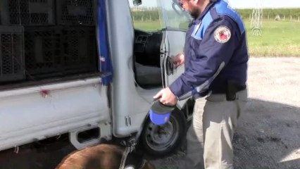 250 bin uyuşturucu hap ele geçirildi - ADANA