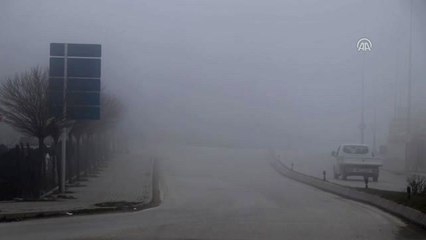 Kentte Etkili Olan Sis Yaşamı Olumsuz Etkiledi