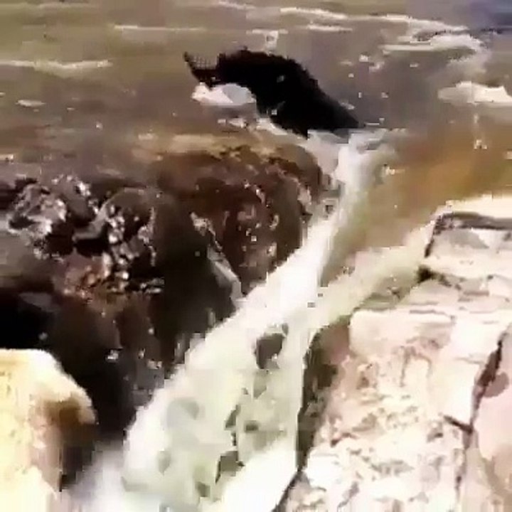 Los amigos se ayudan