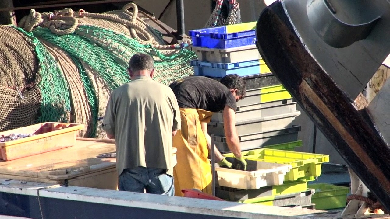 Une journée au port a SETE