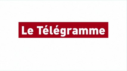 Guingamp. Deux chiens en divagation sur la RN12