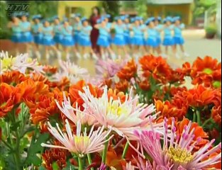 Tung Cánh Ước Mơ - Ca Nhạc Thiếu Nhi