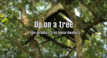 Up on a tree- the tree-house dwellers of India