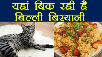 Chennai:  Mutton, Chicken Biryani नहीं अब बिकने लगी है Cat Biryani | वनइंडिया हिंदी